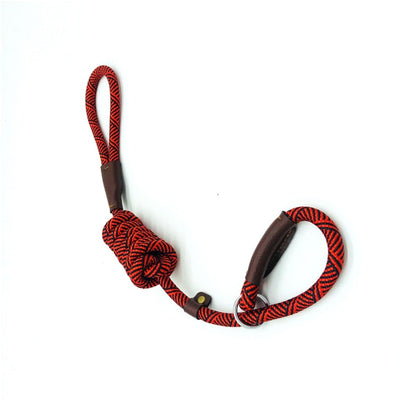 2 In 1 Adjustable Loop Collar / Leash