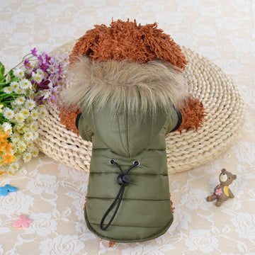 Fur Trim Dog Coat with Hoodie